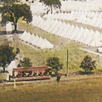 Trolley at 1913 Veterans Reunion